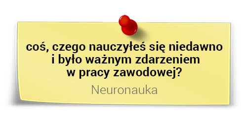 Prof. Andrzej Blikle o nauce: neuronauka