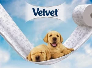 Marka Velvet - reklama z udziałem psa